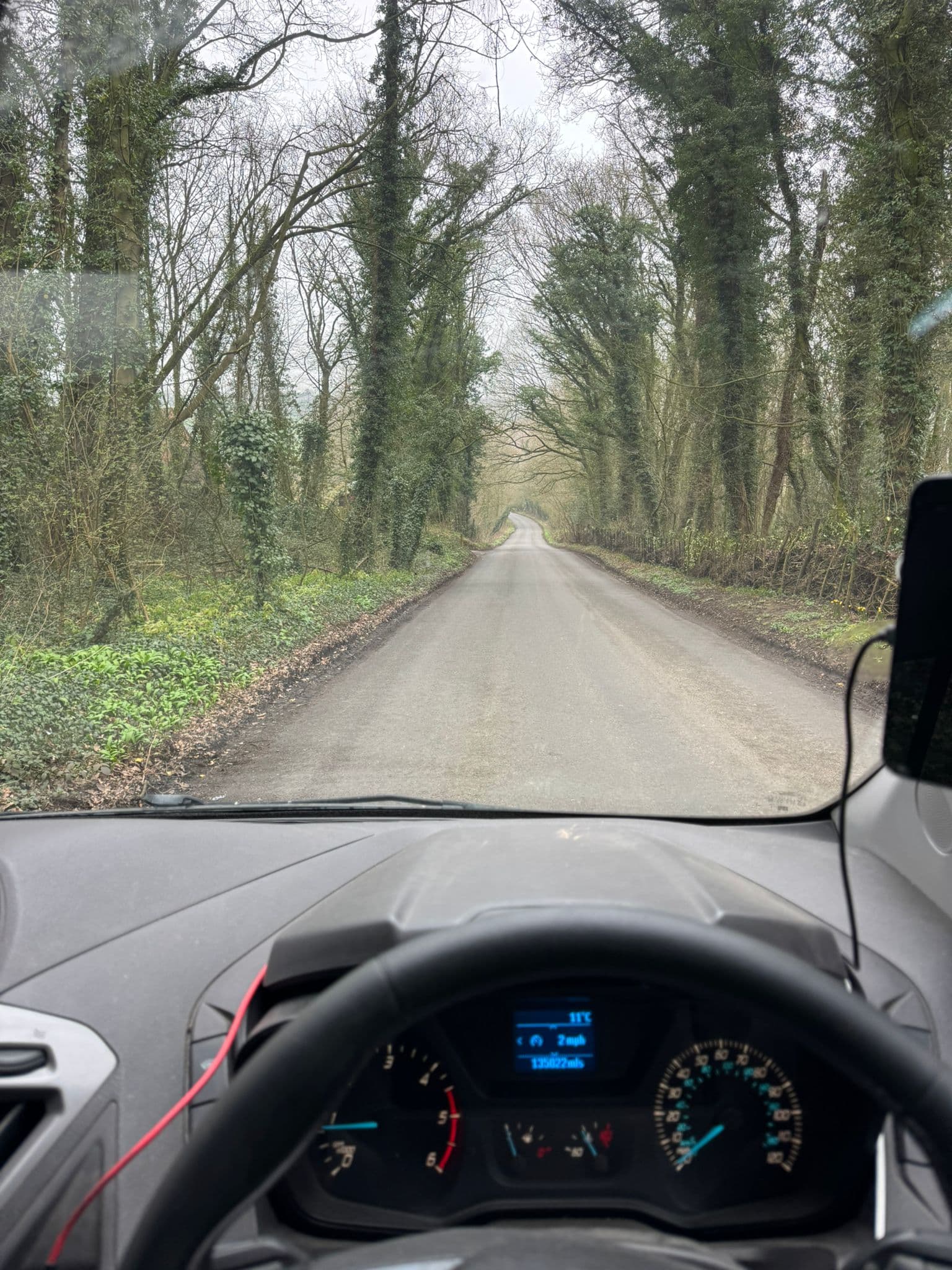 Country road from the driver seat on a long-distance delivery